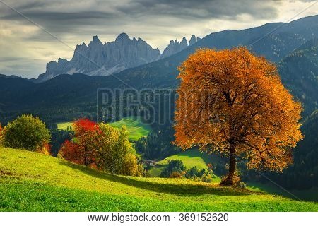 Beautiful Autumn Alpine Landscape, Colorful Deciduous Trees And Green Fields With High Mountains In 