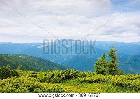 Mountain Landscape With Tree On The Hill. Beautiful Scenery On A Cloudy Day At High Noon. Mighty Bla