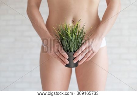 A Woman In White Panties Holds A Pot With A Bushy Plant On A Background Of Light Bricks. Bikini Zone