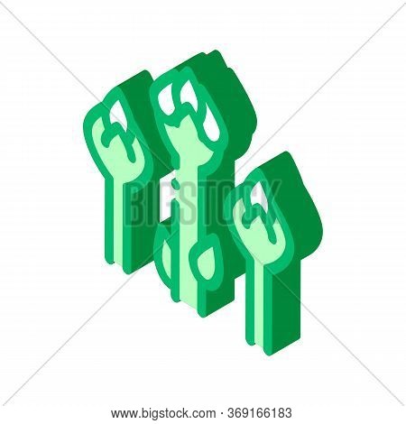 Healthy Food Vegetable Snake Bean Vector Isometric Sign. Color Isolated Symbol Illustration