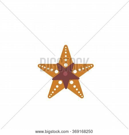 Star Fish Logo Vector Flat Design