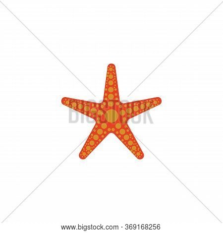 Star Fish Logo Vector Flat Design
