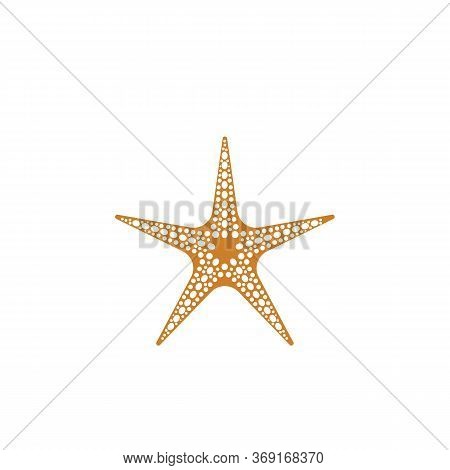 Star Fish Logo Vector Flat Design