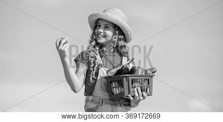 Dinner Pause. Little Girl Vegetable In Basket. Only Natural. Harvest Vitamin. Spring Market Garden. 