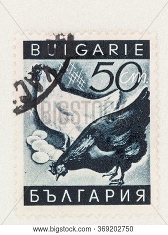 Seattle Washington - May 30, 2020: Chicken And Eggs On Bulgaria Postage Stamp Of Scott # 323