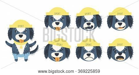 Set Of Emotions Of A Cute Portuguese Aquatic Dog. A Dog Can Be Different Happy, Sad And Kind. Sports