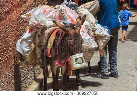 Fez, Morocco - May 31, 2017: Pack Donkey In Medina Quarter Of Fez. The Medina Of Fez Is Listed As A 