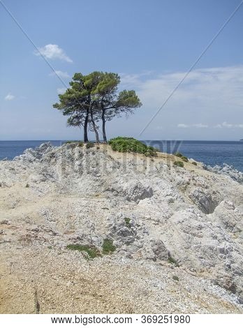 Trees At Amarantos Rocks At Skopelos Island At The Sporades In Greece