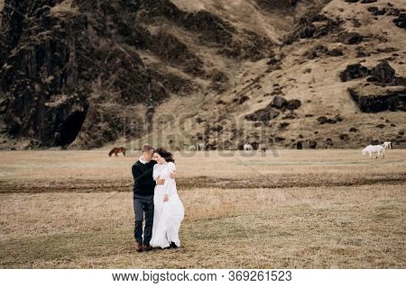 Wedding Couple On The Background Of A Rocky Mountain And Grazing Horses In Iceland. The Bride And Gr