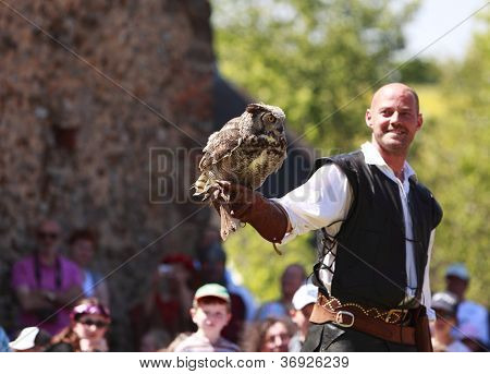 tamer mÃ¤nnlicher Vogel