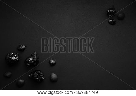 Trendy Minimalistic Matte Black Background With Shells.