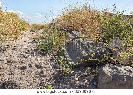 Remains Of Columns In Ruins Of The Greek - Roman City Of The 3rd Century Bc - The 8th Century Ad Hip