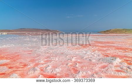 Brine And Salt Of A Pink Lake Koyash Colored By Microalgae Dunaliella Salina, Famous For Its Antioxi