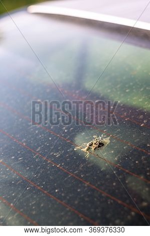 Bird Guano On A Car. Piece Of Bird Shit On The Car Window. Rear Car Window With White Bird Droppings