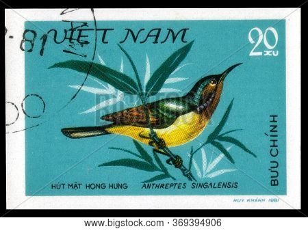 Saint Petersburg, Russia - May 31, 2020: Postage Stamp Issued In The Vietnam With The Image Of The R