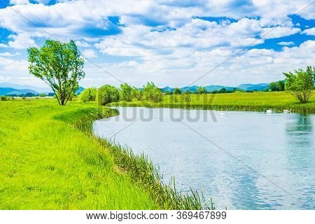 Croatia, Beautiful Greennature, Gacka River In Lika Region, Field Summer View