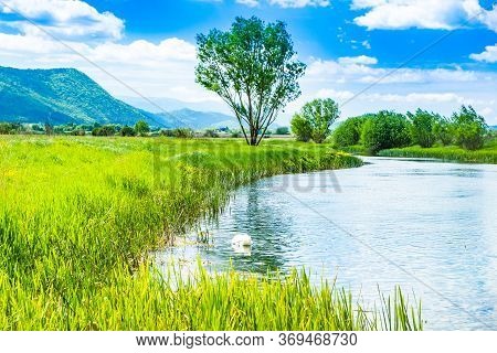 Croatia, Beautiful Greennature, Gacka River In Lika Region, Field Summer View