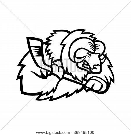 Mascot Icon Illustration Of Head Of A Muskox, Musk Ox Or Musk-ox, An Arctic Hoofed Mammal Of The Fam