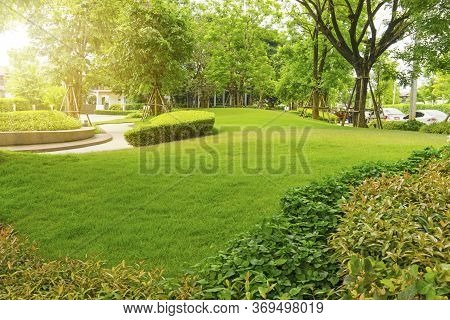 Garden Of Smooth Green Grass Lawn, Trees With Supporting, Shrub In A Good Maintenance Landscape In P