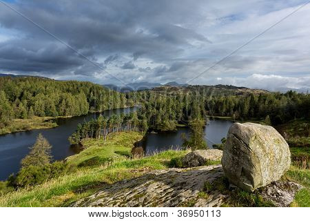 Vista sopra Tarn Hows In inglese Lake District