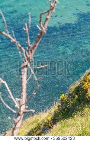 San Bartolo Regional Park Marche Region - Broom Trees And Transparent Green Sea Water