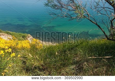 Vallugola Bay Landscape And 