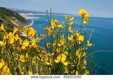 Vallugola Bay Landscape And \