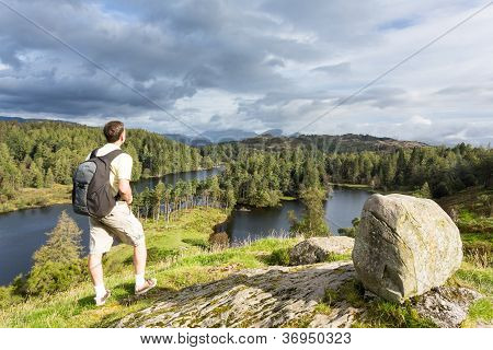 Vista sopra Tarn Hows In inglese Lake District