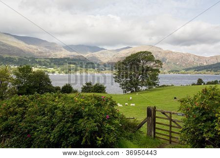 มองเห็นน้ำ Coniston ในย่าน