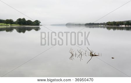 สะท้อนของสาขาในน้ำ Coniston