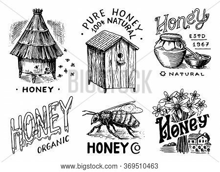 Honey And Bees Set. Honeycombs And Hive And Apiary. Vintage Logo For Typography, Shop Or Signboards.