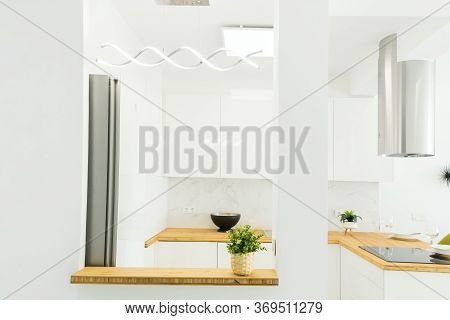 Modern Minimalist Open Kitchen Interior With Wooden Countertop Vitroceramic Cooking Surface Electric