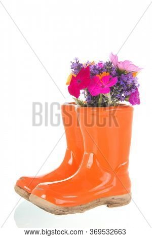 Colorful flower bouquet in pair of child boots