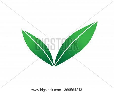 Green Sprout Illustration. Sprout Leaves Vector Icon For Web, Mobile, Ui.