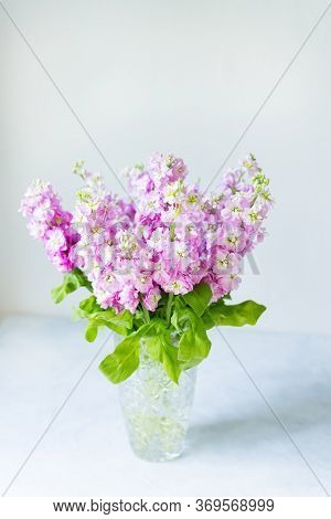 Bouquet Of Beautiful Lilac Mattiola In Crystal Vase On Table. Spring Flowers.