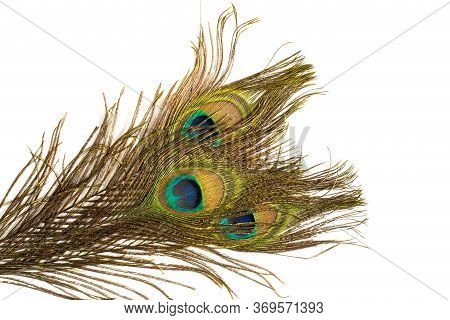 Several Peacock Feathers On White Background. Symbol Of Beauty, Balance, Third Eye, Perception, Immo
