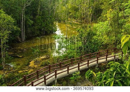 Krabi, Thailand - January,  2014: Khao Pra Bang Khram Wildlife Sanctuary