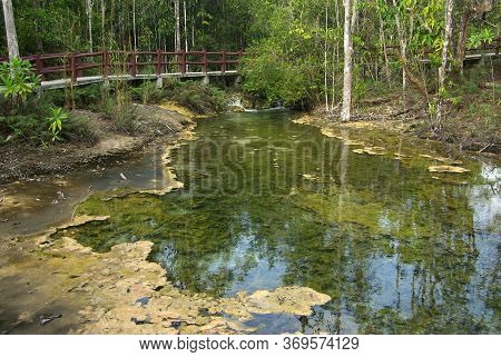Krabi, Thailand - January,  2014: Khao Pra Bang Khram Wildlife Sanctuary