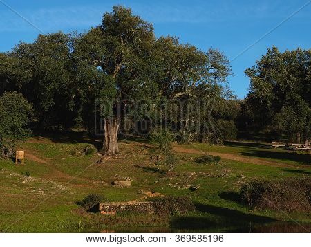 Meadows Of Extremadura, Fountain And Picnic Areas