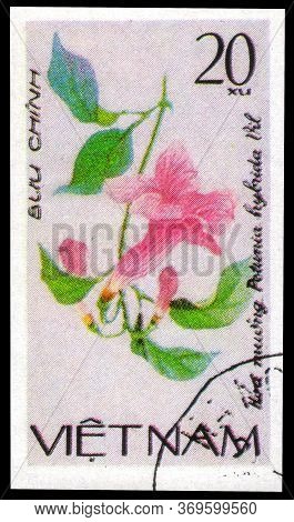Saint Petersburg, Russia - May 31, 2020: Postage Stamp Issued In The Vietnam With The Image Of The P