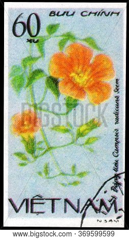 Saint Petersburg, Russia - May 31, 2020: Postage Stamp Issued In The Vietnam With The Image Of The T