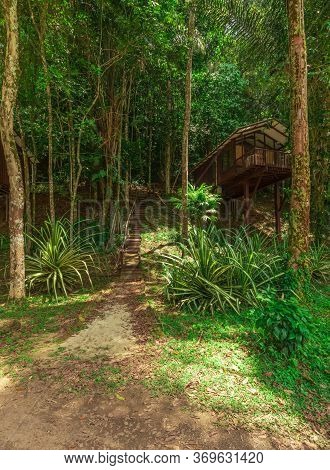 Brokopondo, Suriname - August 2019: Stairs Leading To Lodge In Tropical Amazonian Rainforest.
