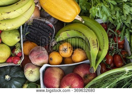 Peppers, Potatoes, Onions, Green Onions, Beets, Cucumbers, Cherry Tomatoes, Carrots, Celery, Fennel
