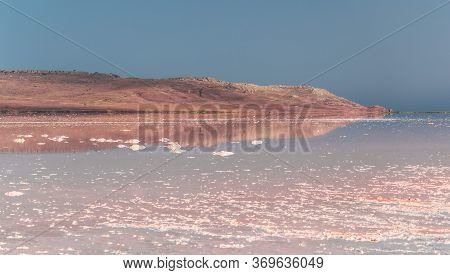 Brine And Salt Of A Pink Lake Koyash Colored By Microalgae Dunaliella Salina, Famous For Its Antioxi