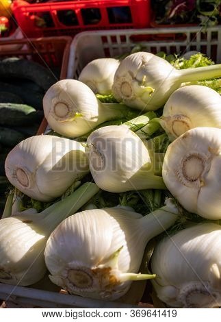 Fresh Fennel Bulbs At A Farmers Market In Italy