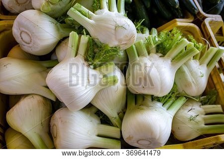 Fresh Fennel Bulbs At A Farmers Market In Italy