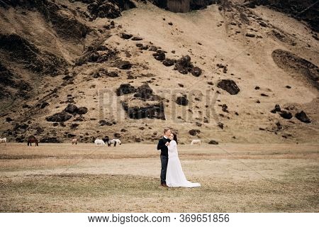 Wedding Couple On The Background Of A Rocky Mountain And Grazing Horses In Iceland. The Groom Holds 