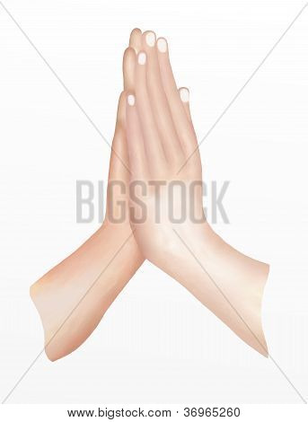 Two Hands Pressed Together in Prayer Position or namaste pose