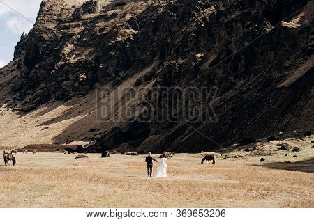 Wedding Couple On The Background Of A Rocky Mountain And Grazing Horses In Iceland. The Bride And Gr