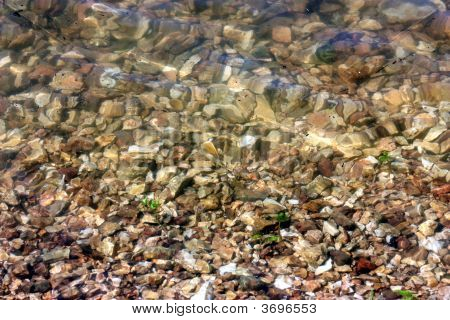 Sous l'eau